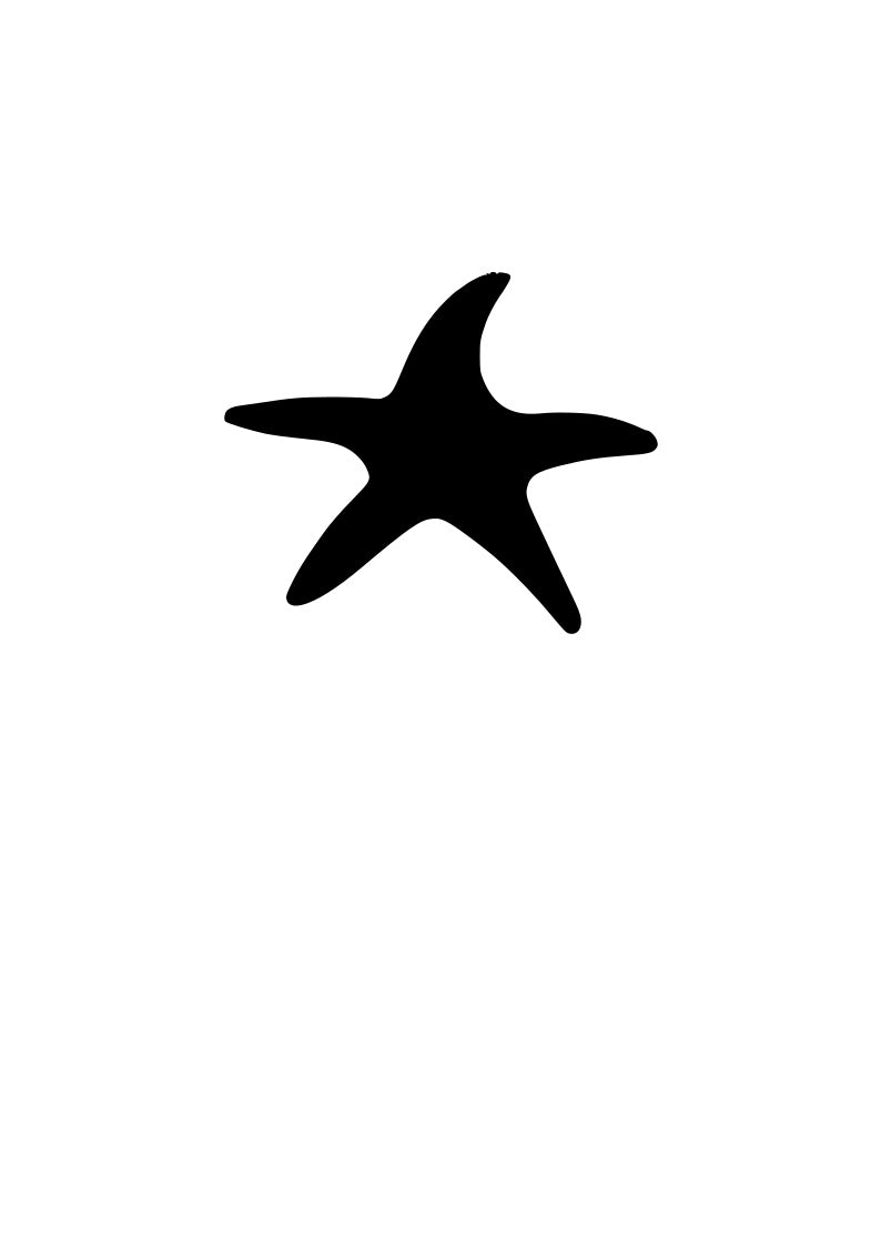 Pre-Cut Star Fish 1